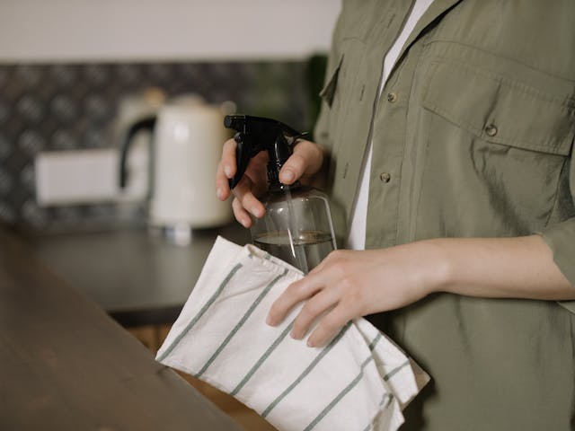 Person in Green Button Up Shirt Holding Clear Spray Bottle