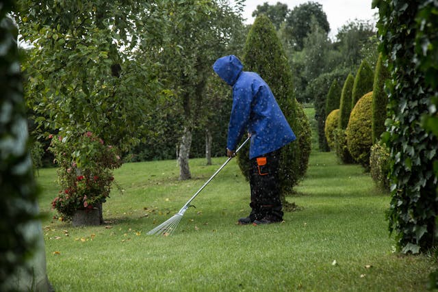 Person raking leaves in their lawn