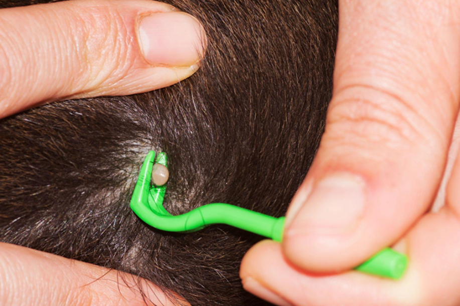 Removing Tick image