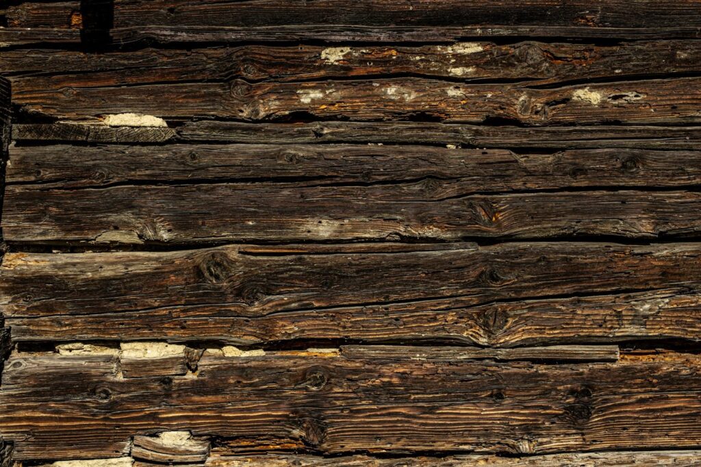 Wood damaged from termites in Charleston.