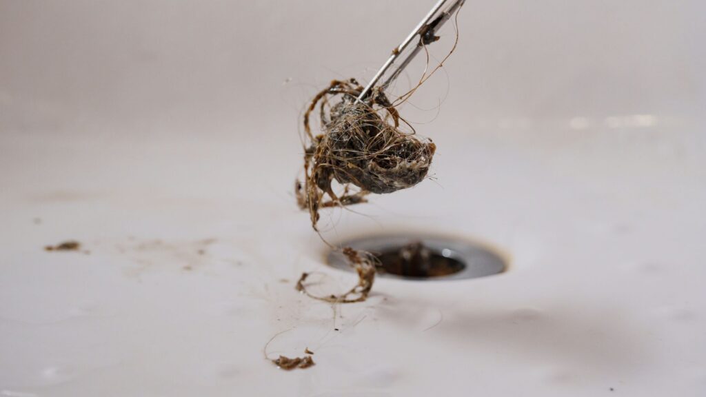 Drain gunk that attracts drain flies. 